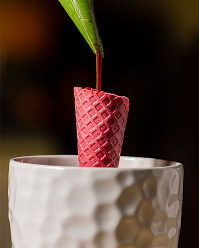 chef-domicilio-a-casa-tua-come-ristorante-stellato-matteo-prandi-3