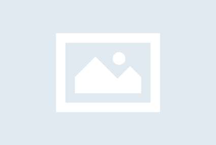 No-Image placeholder